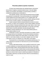 Referāts 'Pilsonības jēdziens', 17.