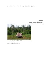 Referāts 'Latvijas mūsdienu tēlniecība', 47.