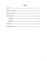 Referāts 'Dzīvības un nāves jēdziens senlatviešu kultūrā', 2.