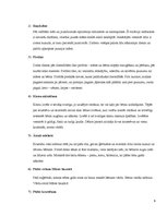 Referāts 'Dzīvības un nāves jēdziens senlatviešu kultūrā', 9.