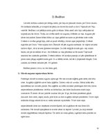 Referāts 'Dzīvības un nāves jēdziens senlatviešu kultūrā', 12.