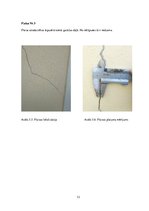 Konspekts 'Plaisu monitorings', 13.