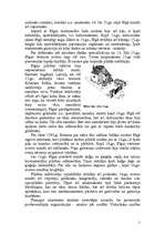 Referāts 'Rīgas amatnieki 13.-16.gadsimtā', 3.