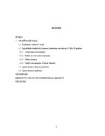 Referāts 'Jauniešu basketbolistu izplatītākās traumas', 2.