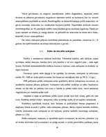 Referāts 'Jauniešu basketbolistu izplatītākās traumas', 16.