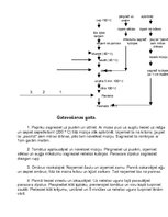 Referāts 'Kvalifikācijas darbs ēdināšanas servisā', 29.