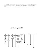 Referāts 'Kvalifikācijas darbs ēdināšanas servisā', 30.