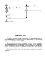 Referāts 'Kvalifikācijas darbs ēdināšanas servisā', 31.