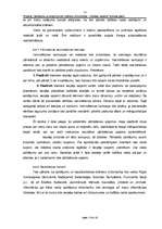 Biznesa plāns 'Saldējuma un atspirdzinošo dzērienu tirdzniecība - mobilais variants', 13.