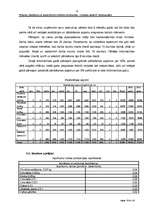 Biznesa plāns 'Saldējuma un atspirdzinošo dzērienu tirdzniecība - mobilais variants', 18.