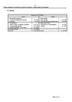 Biznesa plāns 'Saldējuma un atspirdzinošo dzērienu tirdzniecība - mobilais variants', 22.