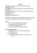 Referāts 'Biodegradējamo polimēru materiālu noārdīšanās vides iedarbībā', 2.