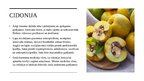 Prezentācija 'Augļi un dārzeņi ārstniecībā', 6.