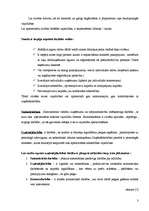 Referāts 'SIA "Spals" saimnieciskās darbības analīze', 5.