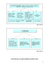 Referāts 'SIA "Spals" saimnieciskās darbības analīze', 6.