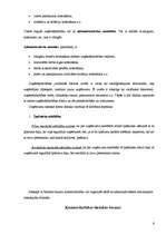 Referāts 'SIA "Spals" saimnieciskās darbības analīze', 8.