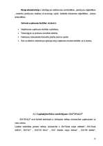 Referāts 'SIA "Spals" saimnieciskās darbības analīze', 12.