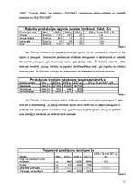 Referāts 'SIA "Spals" saimnieciskās darbības analīze', 13.