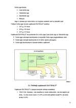 Referāts 'SIA "Spals" saimnieciskās darbības analīze', 15.