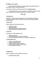 Referāts 'SIA "Spals" saimnieciskās darbības analīze', 22.