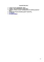 Referāts 'SIA "Spals" saimnieciskās darbības analīze', 25.