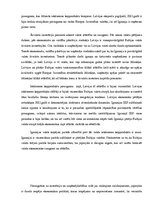 Eseja 'Baltijas valstu ārējās ekonomikas atveseļošana', 7.