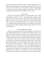 Referāts 'Zinātnisko rakstu kritiskā analīze par mašīntulkošanas rīkiem un nozari', 2.