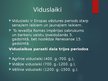 Prezentācija 'Viduslaiku pilsēta un tās kultūras dzīve', 2.
