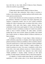 Diplomdarbs 'Darba devēja un darbinieka uzteikums', 82.