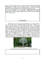 Referāts 'Grupas "Līvi" vēsture un popularitāte mūsdienās', 12.