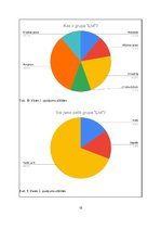 Referāts 'Grupas "Līvi" vēsture un popularitāte mūsdienās', 15.