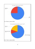 Referāts 'Grupas "Līvi" vēsture un popularitāte mūsdienās', 16.