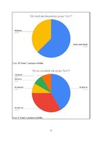 Referāts 'Grupas "Līvi" vēsture un popularitāte mūsdienās', 17.
