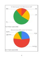 Referāts 'Grupas "Līvi" vēsture un popularitāte mūsdienās', 19.