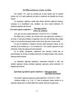 Referāts 'SIA "Radība" finansēšanas avotu analīze', 10.