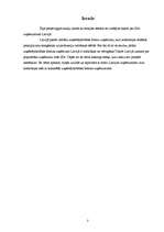 Referāts 'SIA - vispopulārākā komersanta forma Latvijā', 2.