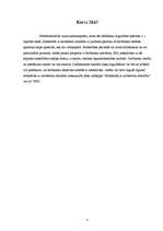 Referāts 'SIA - vispopulārākā komersanta forma Latvijā', 4.