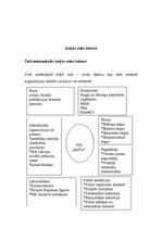 Konspekts 'Organizācijas iekšējā un ārējā vide', 5.