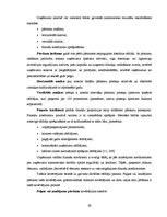 Diplomdarbs 'Finanšu analīze kokapstrādes uzņēmumā', 26.