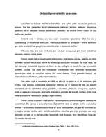 Referāts 'Kriminālprocesuālo tiesību būtība, nozīme, funkcijas', 4.