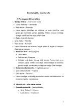 Konspekts 'Dendroloģiskā mācību taka', 1.