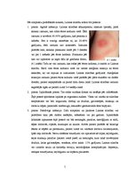 Referāts 'Laima slimība', 5.