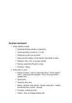 Konspekts 'Pieraksti pasaules vēsturē 6.klasei', 6.