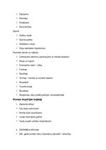 Konspekts 'Pieraksti pasaules vēsturē 6.klasei', 11.