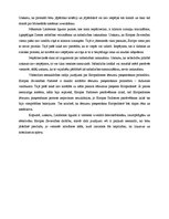 Konspekts 'Eiropas Savienības lēmumu pieņemšana un Eiropas Savienības institūcijas pēc Lisa', 4.