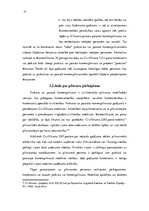 Referāts 'Parastā komercpilnvara', 10.