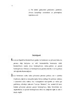 Referāts 'Parastā komercpilnvara', 11.