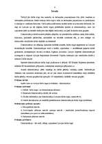 Referāts 'Diskriminācija Latvijas darba tirgū', 4.