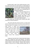 Referāts 'Konrāds Ubāns', 6.