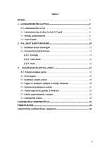 Referāts 'SIA "XXX" ražošanas plāns', 2.